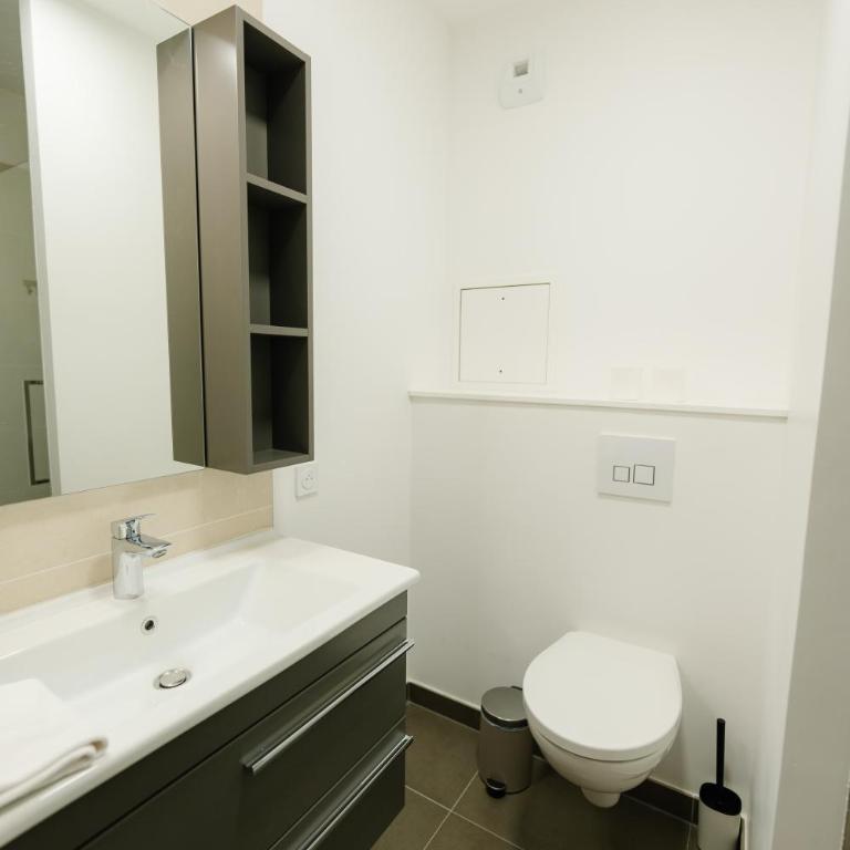 Confort Absolu à Paris ,superbe appartement rénové 7 Chambres avec salles de Bain privatives - Appartement Deluxe - 36