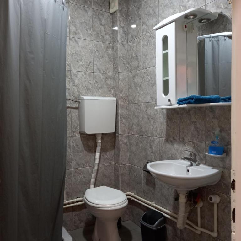 Smestaj STAI, u ulici Nikole Tesle 10, Sokobanja - Two-Bedroom Apartment with Mountain View - 13