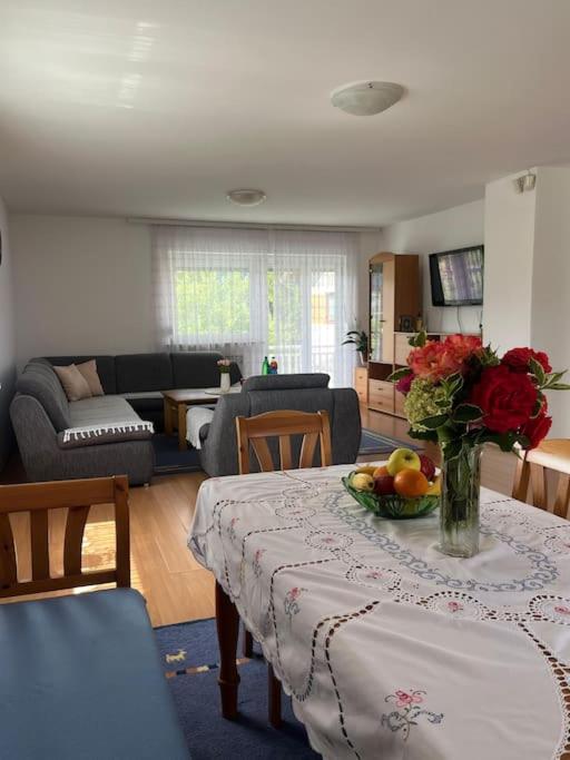 Apartment in a house - Apartman sa 4 Spavaće Sobe - 7