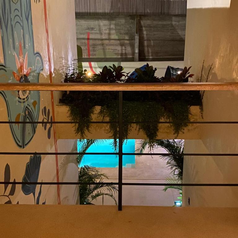 Casa Borka LUXURY FULLY FURNISHED BEACH CONDOS WITH POOL - Casa de 6 dormitorios - 45