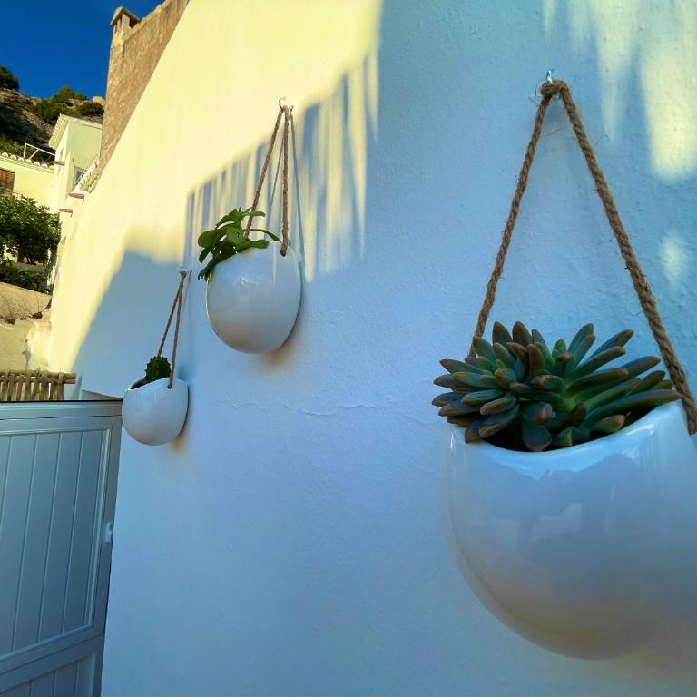 CASA MÚA - Apartamento de 1 dormitorio - 56