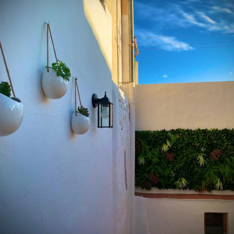 CASA MÚA - Apartamento de 1 dormitorio - 57