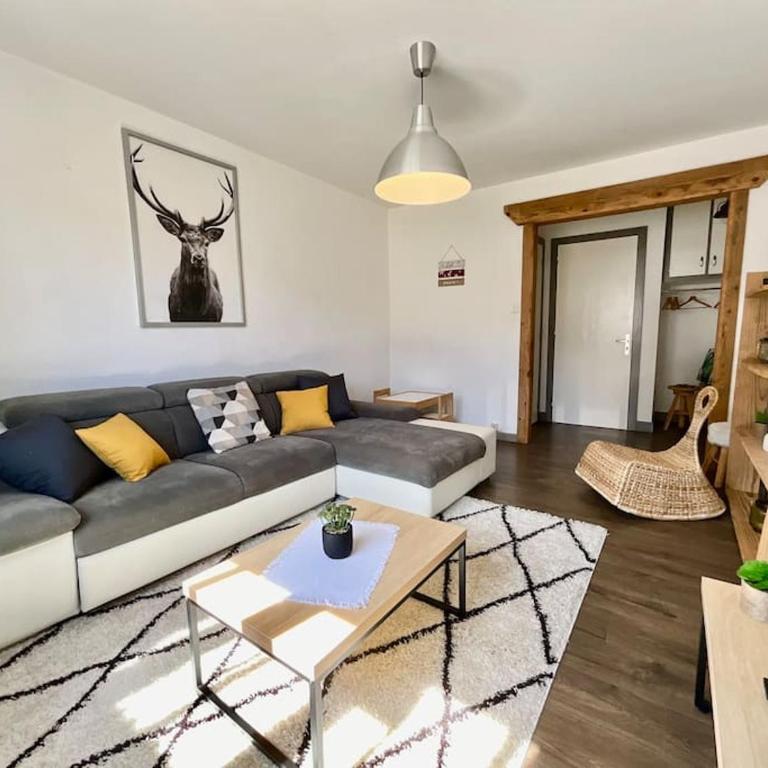 Epicea, bel appartement avec balcon au centre ville - Appartement 1 Chambre - 7