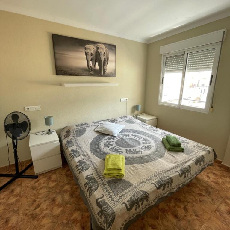 Nuevo Apartamento Elegante Gandia - Apartamento de 3 dormitorios - 1