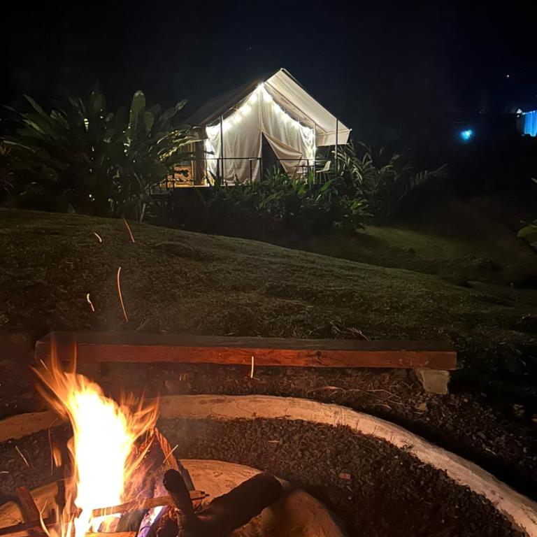 Glamping Las Rocas - Tienda - 8