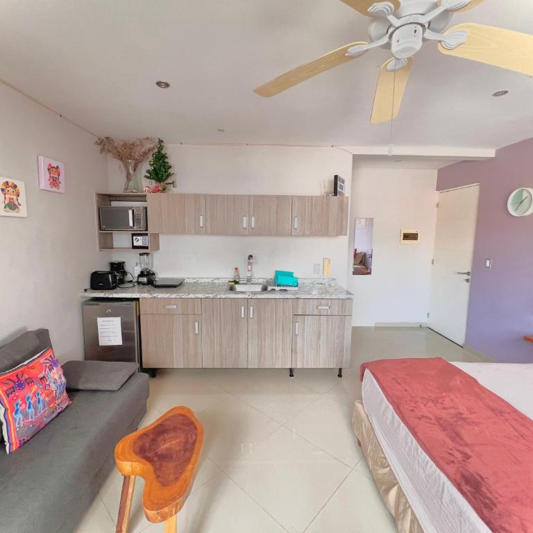 Playa Centro Rooftop Apartments & Studios - King Studio with Sofa Bed - 6