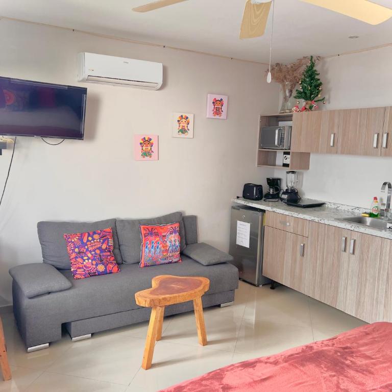 Playa Centro Rooftop Apartments & Studios - King Studio with Sofa Bed - 5