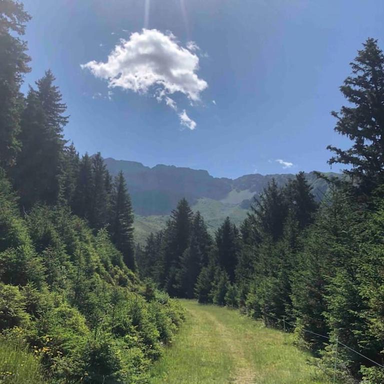 Studio lumineux à Prapoutel, Les 7 Laux, Alpes - Appartement 1 Chambre - 19