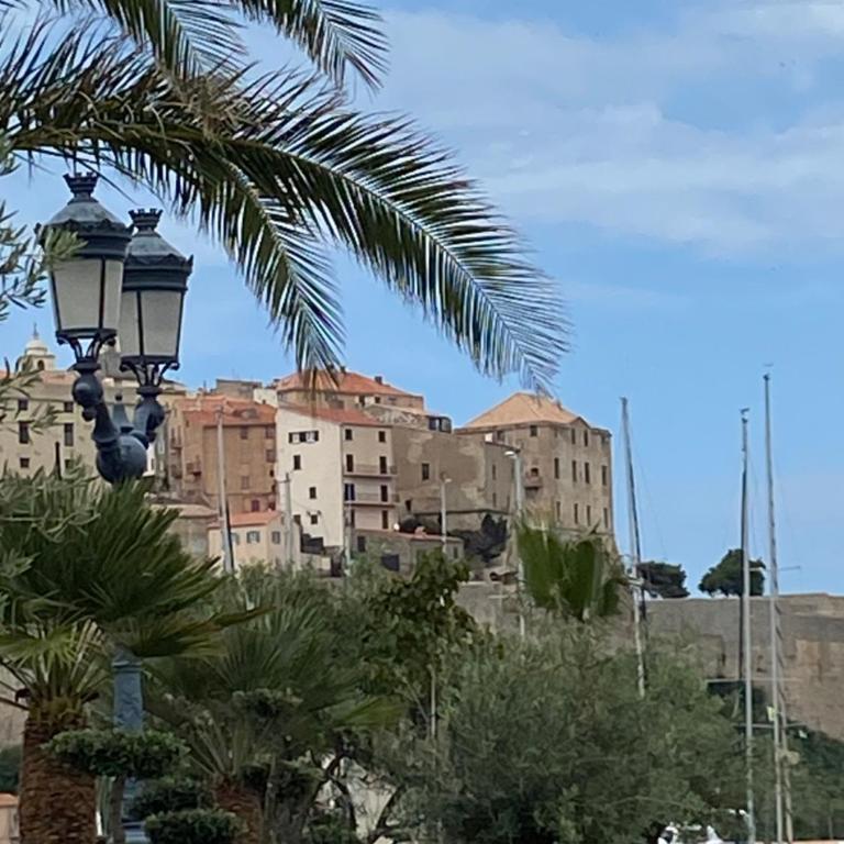 Corse Calvi appt coté Mer - Apartment with Sea View - 51