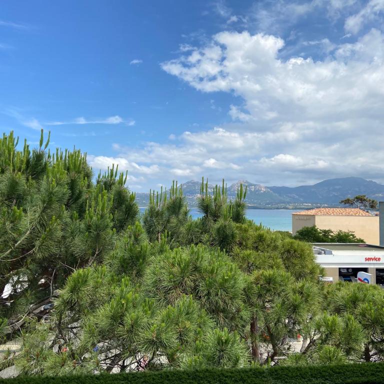 Corse Calvi appt coté Mer - Apartment with Sea View - 37