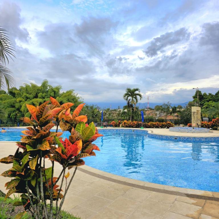 Apartamento Privado Vacacional a 5m del Aeropuerto, 20 minutos del Parque del Cafe y Centro de Armenia con 4 Piscinas, 3 Jacuzzi, Sauna By Molca Xperiences 3H - Apartamento de 3 dormitorios - 59