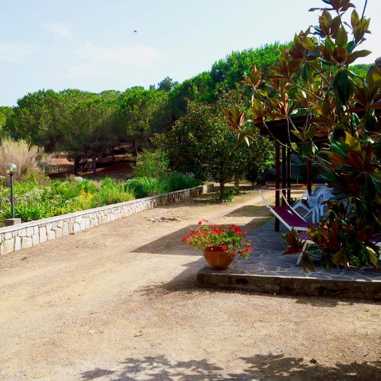 Casale La Magnolia - Capo Perla Apartments - Appartamento con 1 Camera da Letto e Vista Giardino - 7