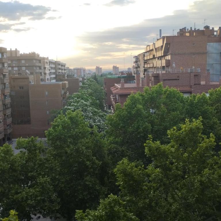 Piso en Zaragoza - Apartamento de 1 dormitorio - 5