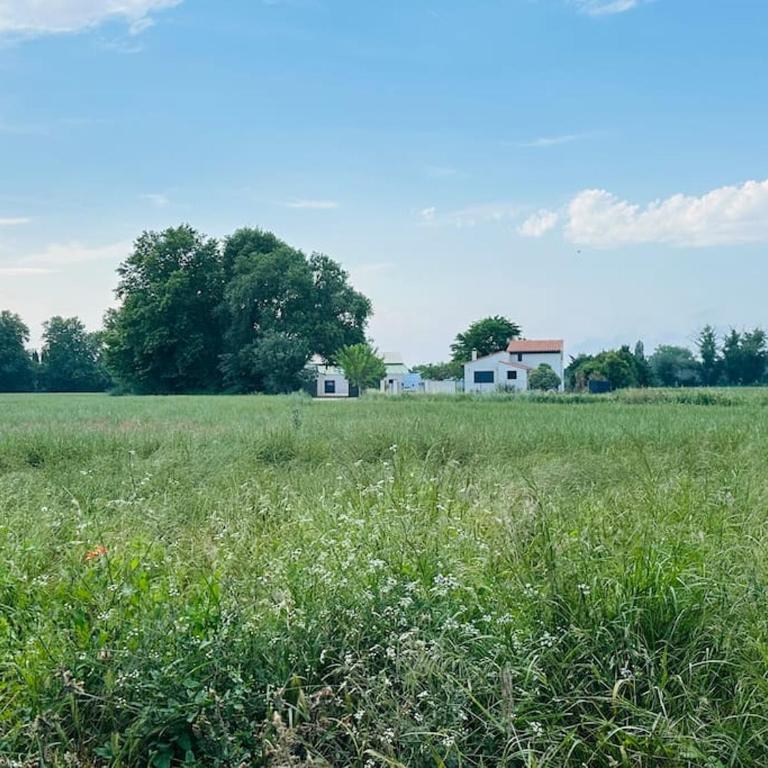 Domaine la bergerie st cyprien Internet 4 chambres - Villa - 2