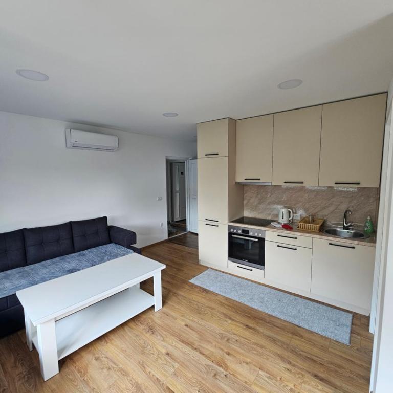 Apartmani gradina Tuzla - One-Bedroom Apartment - 3