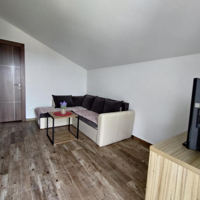Pocanic apartmani - Apartman sa 2 Spavaće Sobe - 5