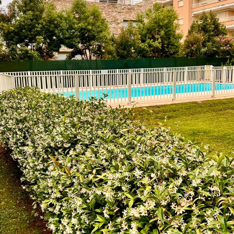 Luxury Penthouse near the Beach - Appartement 1 Chambre - 29
