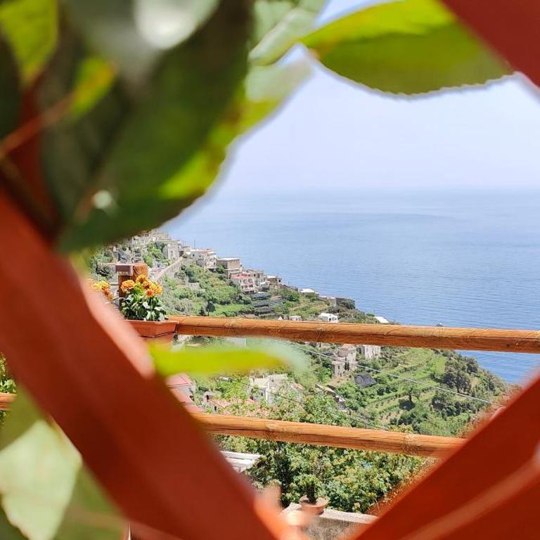 RACHELE HOUSE con vista mare - Appartamento con 1 Camera da Letto - 40