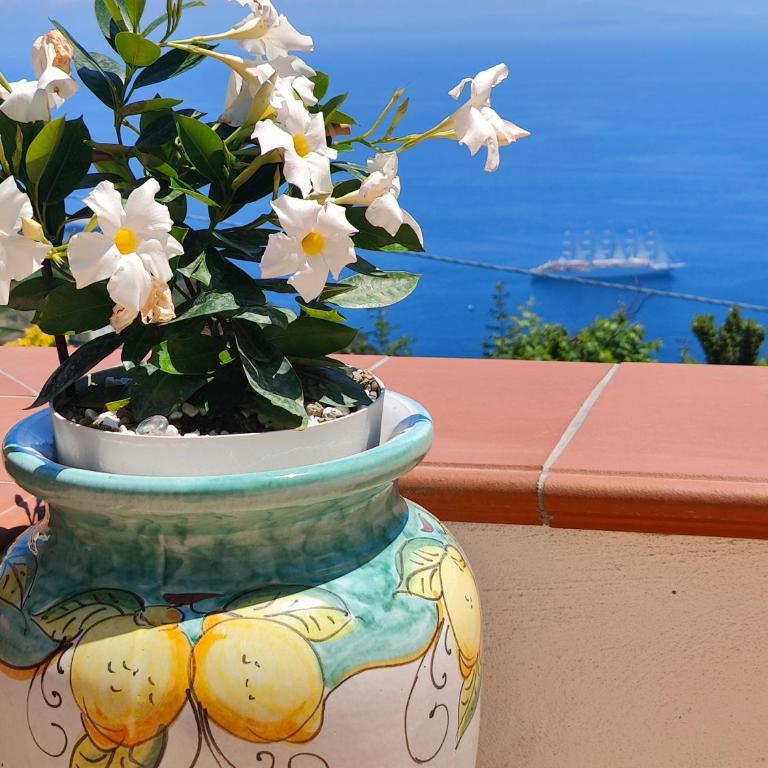 RACHELE HOUSE con vista mare - Appartamento con 1 Camera da Letto - 11