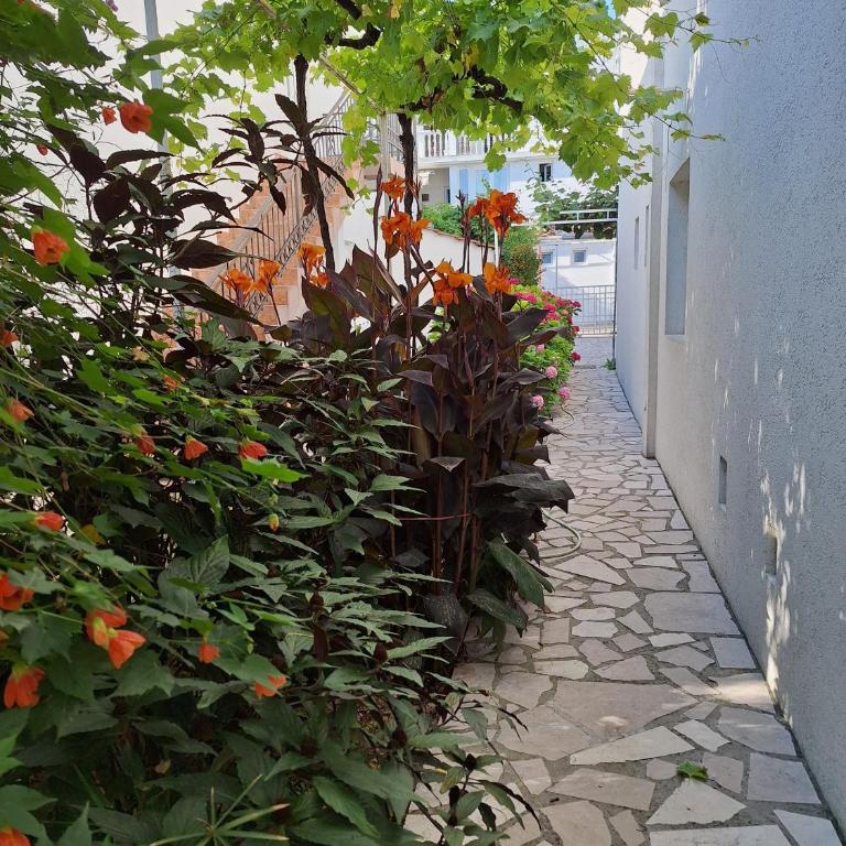 Apartmani Hortenzija - Apartman - 14