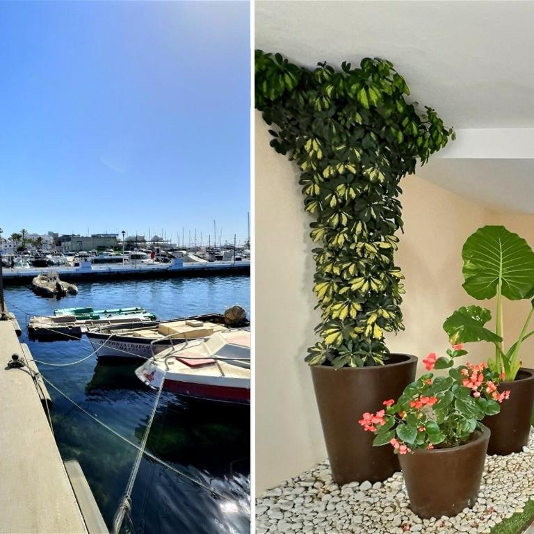 Two bedroom apartment moments from the Cristo beach Estepona - Apartment - 19