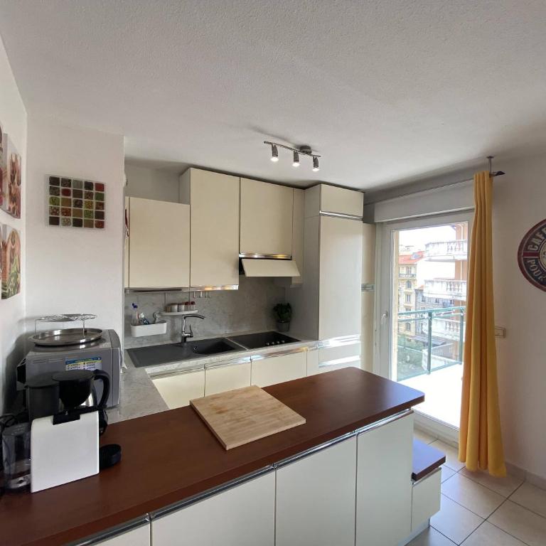Nice Magnan 2P-Piscine, Clim, Parking - Appartement 1 Chambre - 4