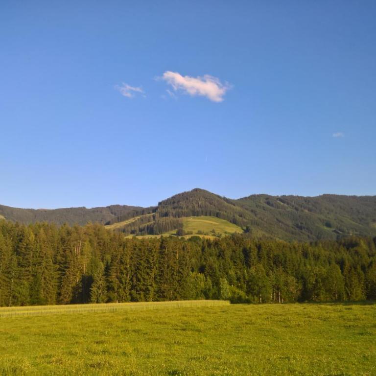 Ferienwohnung Morgensonne - Apartment mit 2 Schlafzimmern - 14