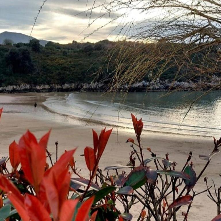 Villa Garcia Llanes Spa Bricia - Vacation Home - 36