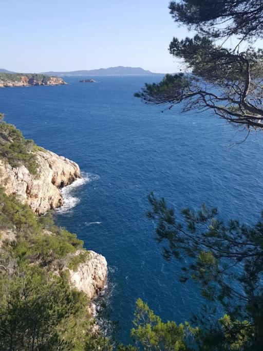 BANDOL "A l'Horizon" à 1min de la mer au calme très grand T2 climatisé parking gratuit - Appartement 1 Chambre - 23