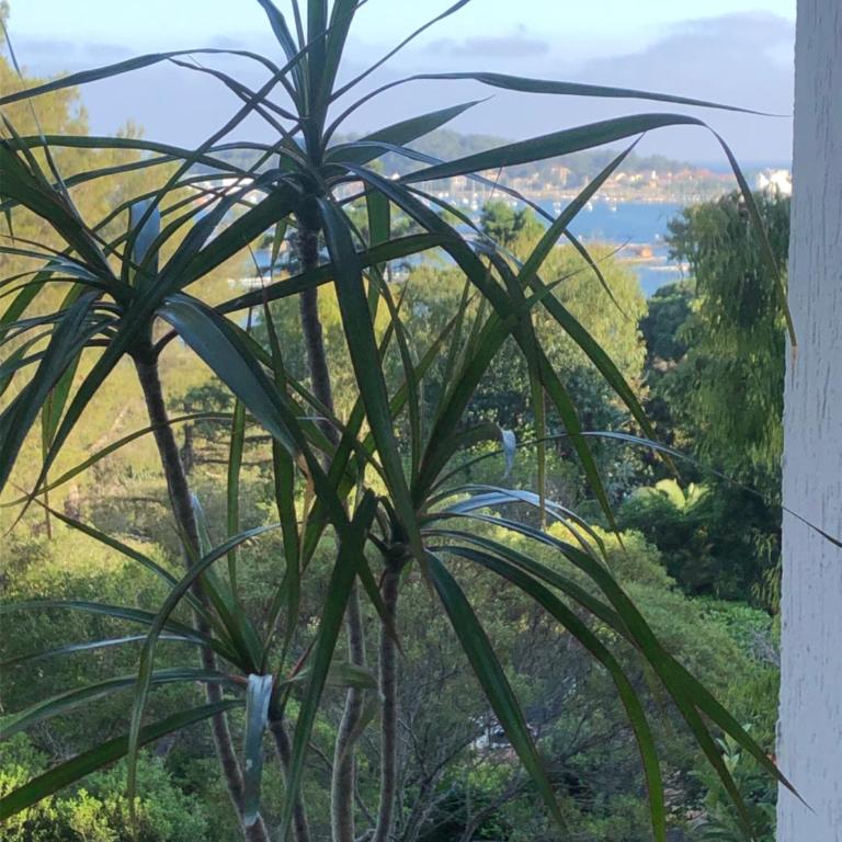 Charme & Calme-TAMARIS- Studio Vue mer - Piscine - Le Petit Olivier sur Mer - Appartement 1 Chambre - 24