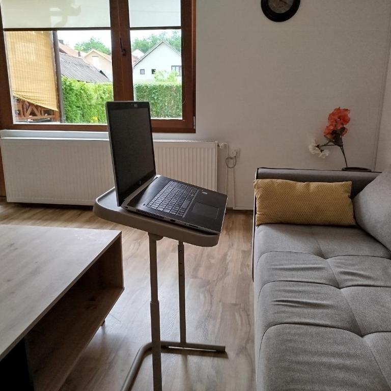 Apartment Garden Bajina Basta - Apartman sa 1 Spavaćom Sobom - 32