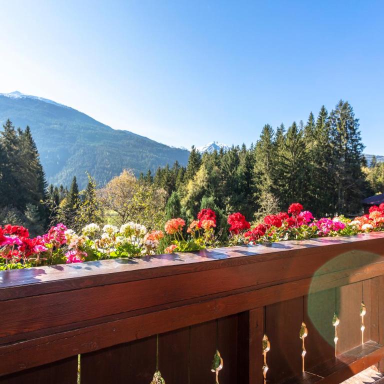 Ferienhaus Berger - Apartment mit 2 Schlafzimmern und Bergblick - 2