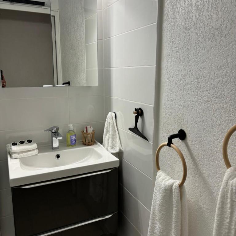 CAVALIERE LE LAVANDOU Au Chêne Liège - Apartamento de 1 dormitorio - 29