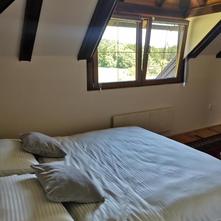 Planinska kuća Maksimović - Kuća sa 3 Spavaće Sobe - 14