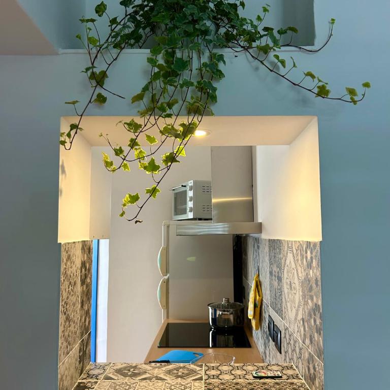 Zagara - Two-Bedroom House - 8