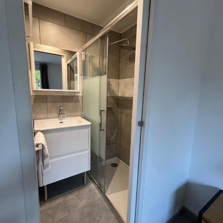 Chambre avec salle d'eau privée dans appartement partagé 200 m du tram - Chambre Double - 4