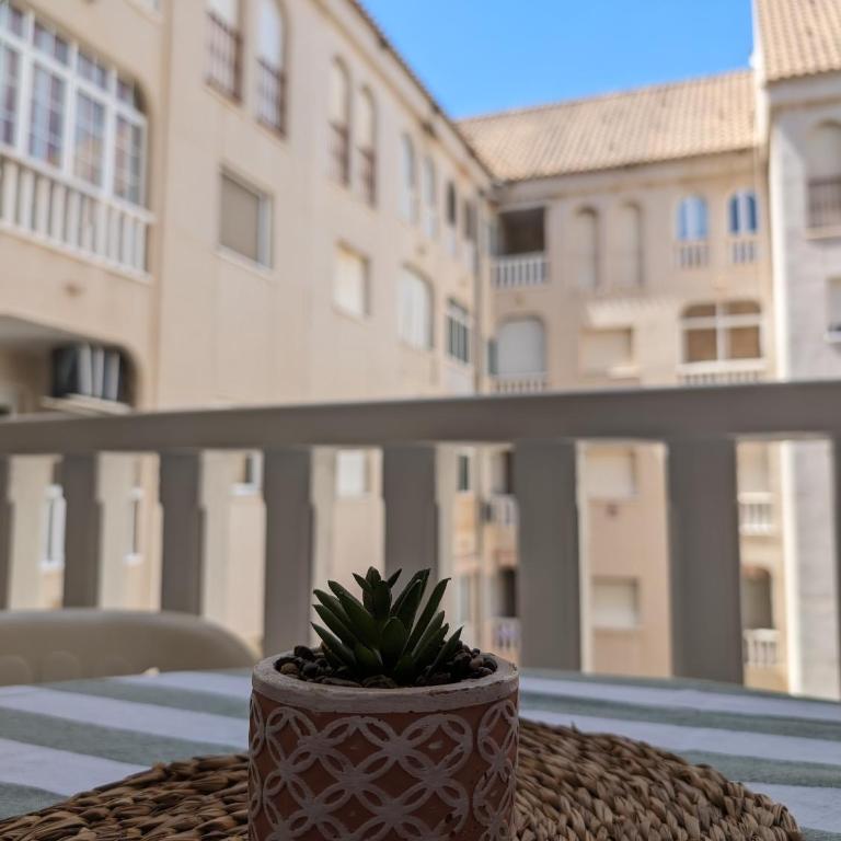 Torreviejaplace - Apartamento de 1 dormitorio - 16