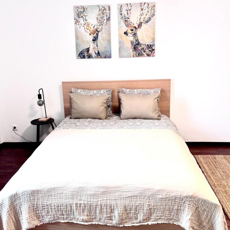 Franziskaner Suites #8 - Apartment mit 1 Schlafzimmer - 13
