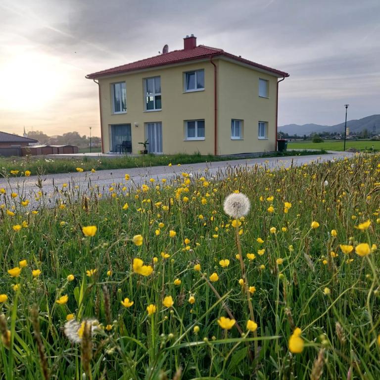 Apartment Gartenblick - Apartment mit Gartenblick - 12