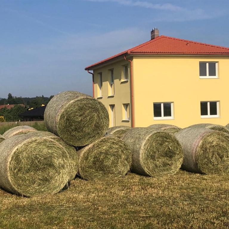 Apartment Gartenblick - Apartment mit Gartenblick - 11