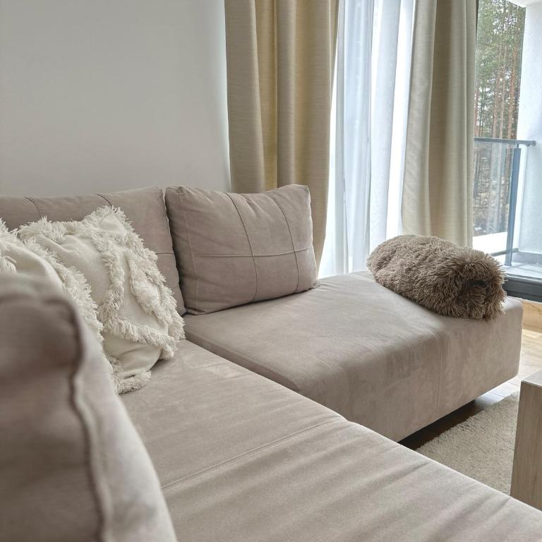 AS Divcibare - Apartman sa 1 Spavaćom Sobom - 23