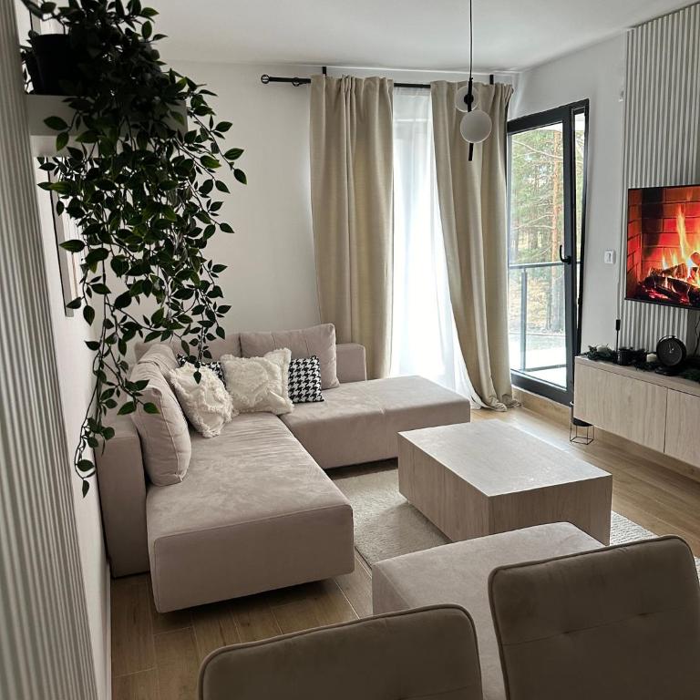 AS Divcibare - Apartman sa 1 Spavaćom Sobom - 20