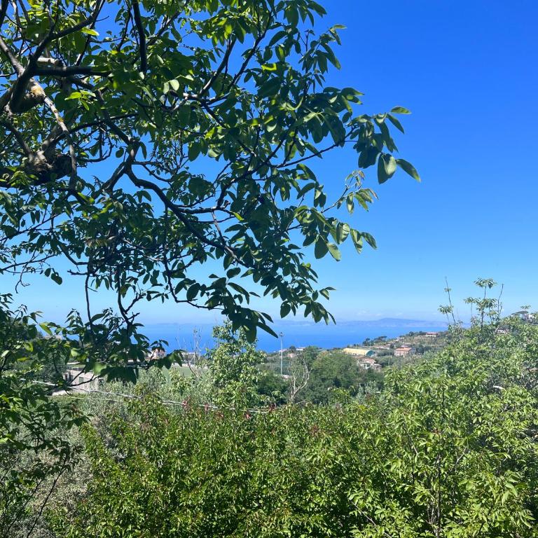 La Noce Holiday House - Casa Vacanze - 4