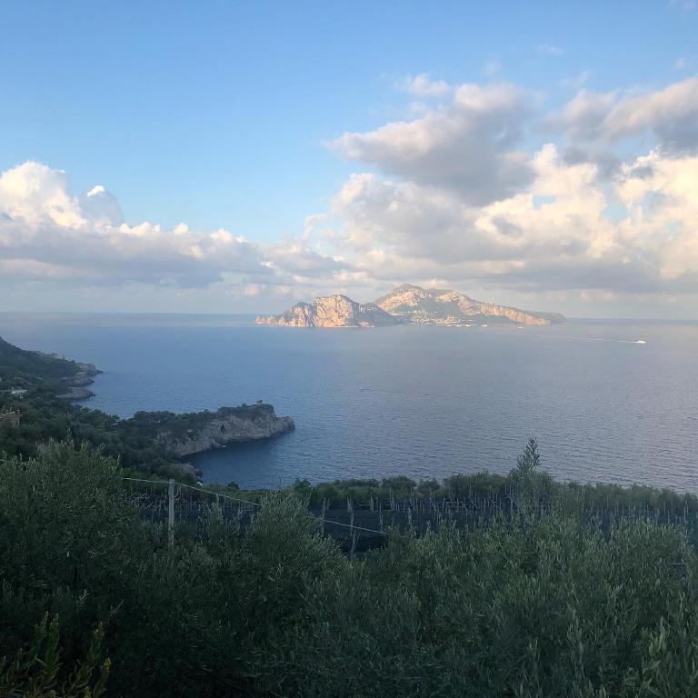 La Noce Holiday House - Casa Vacanze - 6