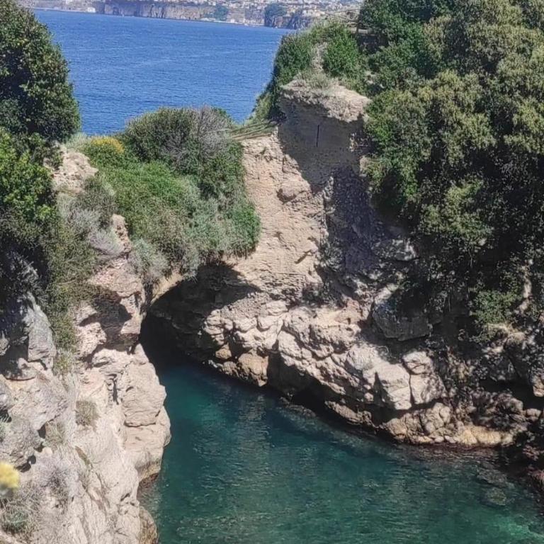 La Noce Holiday House - Casa Vacanze - 8