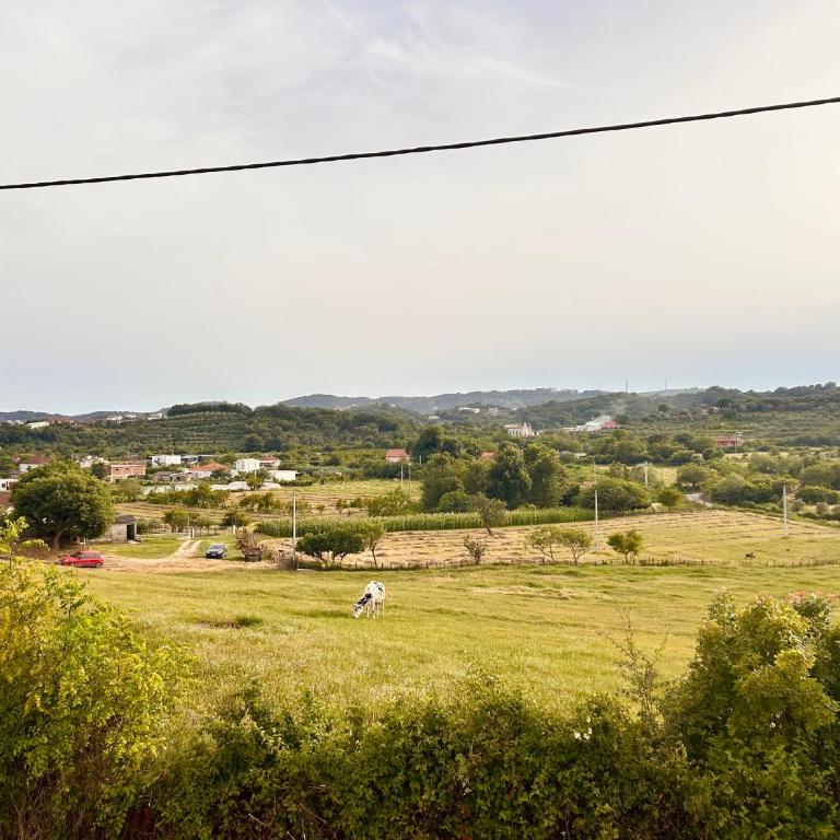 Greenscape Village - Kuća sa 1 Spavaćom Sobom - 29