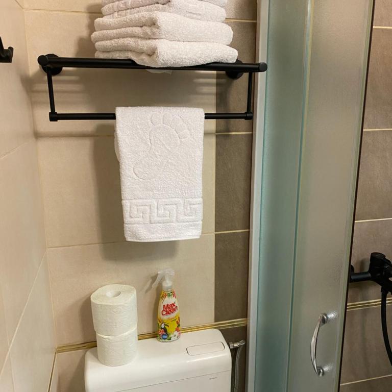 Adzic Apartments - Studio with Balcony (2 Adults) - 55