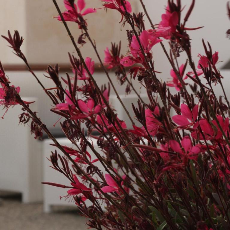 Residence Mare Azzurro - Appartamento - Piano Terra - 28