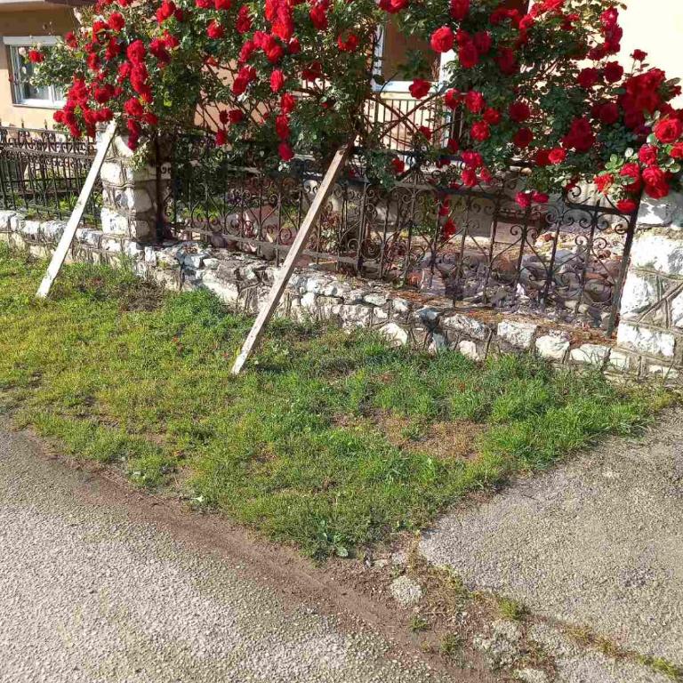 No name apartment - Apartman sa 1 Spavaćom Sobom - 16