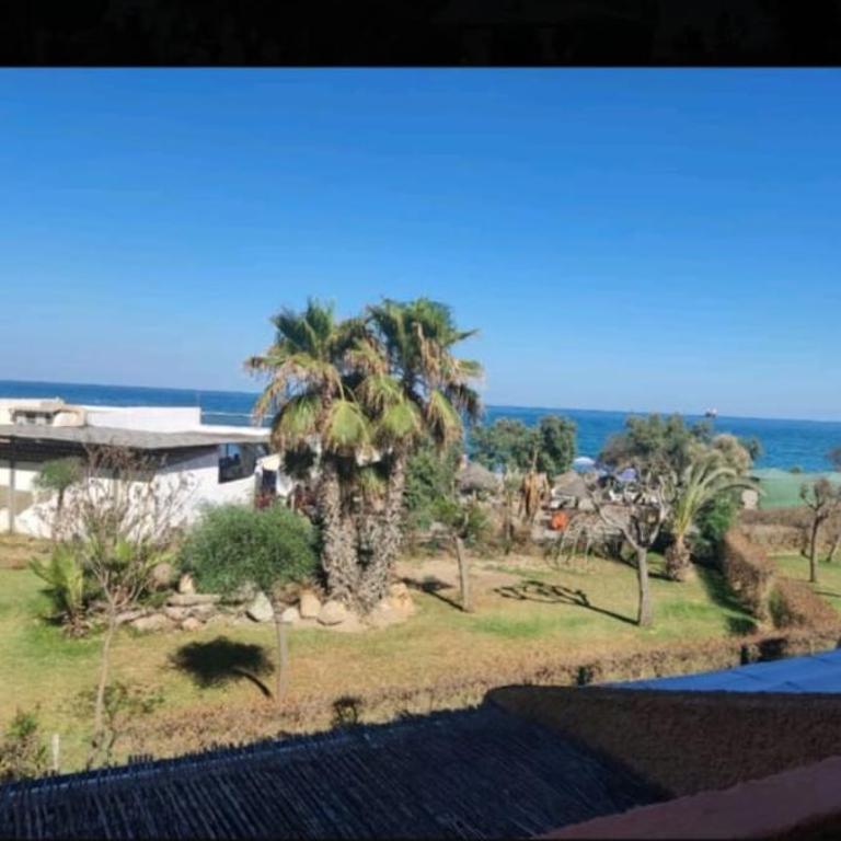 Estudio Naturista - Apartamento de 1 dormitorio - 1